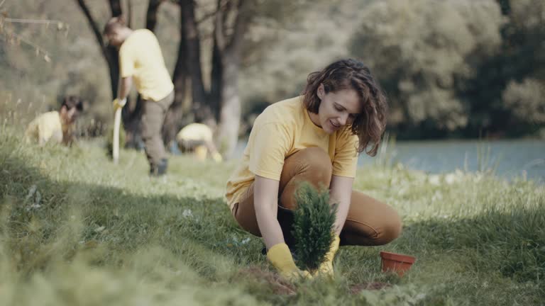 Best Lawn Irrigation Installation and Maintenance  in Rockwell, NC